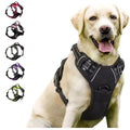 Dog harness